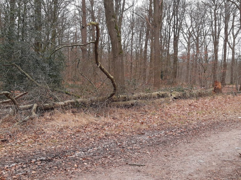 Bij de enkels afgeknapt